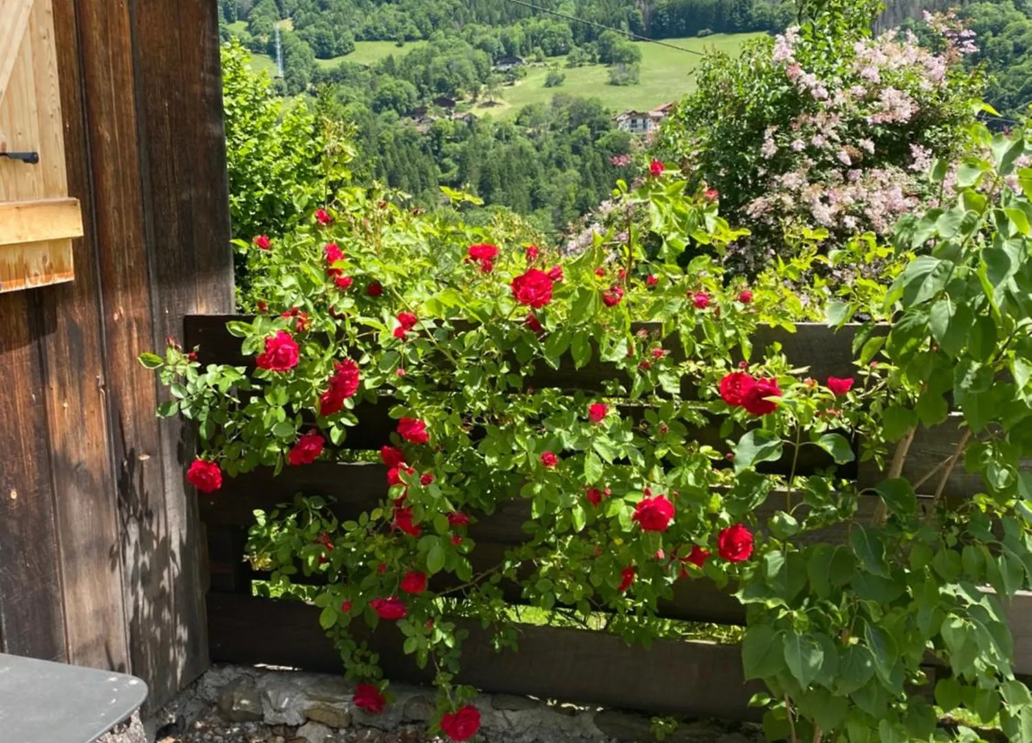 Glieres-Val-de-Borne Logement Individuel 3 Pieces Dans Chalet בית נופש